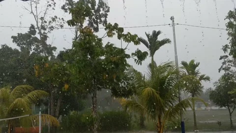 Heavy rain accompanied by strong winds Stock Footage 229447935