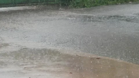 Heavy rain accompanied by winds pounded the streets Stock Footage 323168183