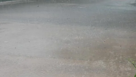 Heavy rain accompanied by winds pounded the streets Stock Footage 323168189