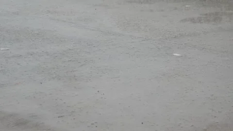 Heavy rain accompanied by winds pounded the streets Stock Footage 323168208