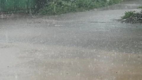 Heavy rain accompanied by winds pounded the streets Stock Footage 323168212