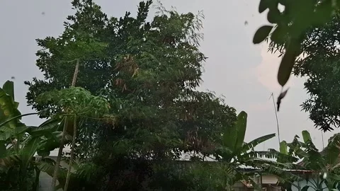 Heavy rain in the afternoon Stock Footage 291511256