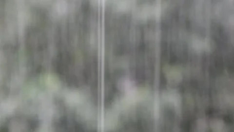 Heavy rain against the tree and a children's playground streams of water Stockbeeldmateriaal 143336232