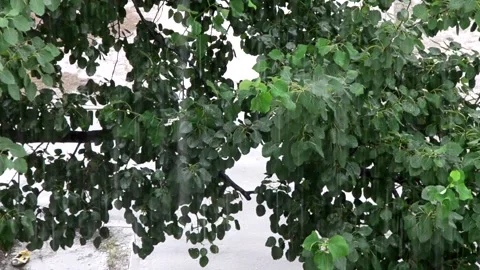 Heavy rain against the tree and a children's playground streams of water 스톡 동영상 143336397