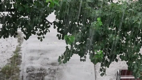 Heavy rain against the tree and a children's playground streams of water 库存影片 143338145