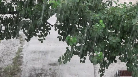 Heavy rain against the tree and a children's playground streams of water Vidéo 143338162