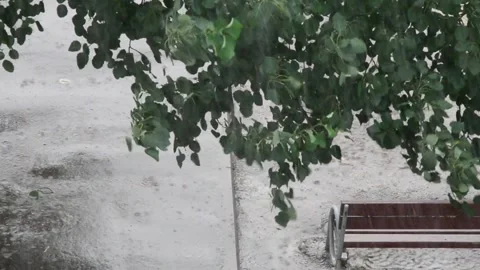 Heavy rain against the tree and a children's playground streams of water Vidéo 143338238