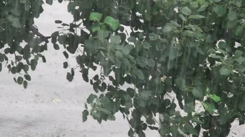 Heavy rain against the tree and a children's playground streams of water Vidéo 143338832
