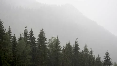 Heavy rain in the Alps Stock Footage 207785493