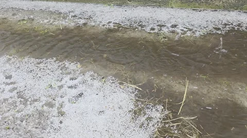 Heavy rain and hail falling into a muddy puddle on the ground covered with .. Vídeos de archivo 333792939