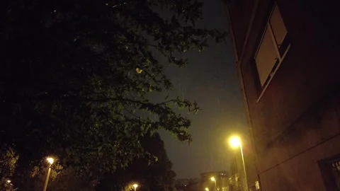 Heavy rain and sowing Stock Footage 273740180