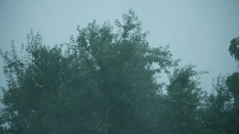 Heavy Rain and Stormy Wind - Close up Trees 4K Stock Footage