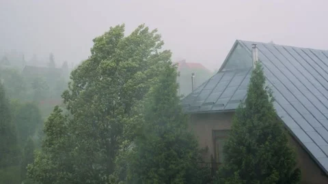 Heavy rain and strong wind blowing trees Stock Footage 159728373