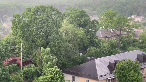 Heavy Rain and Strong Wind Over Green Trees and Town Stock Footage 335461471