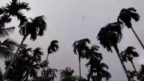 Heavy rain and strong winds Stock Footage 139855984