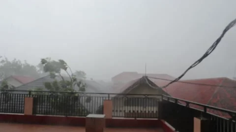 Heavy rain and strong winds made the trees shake. Storm in the tropics Stock Footage 160890478
