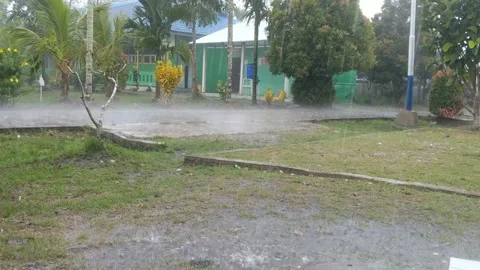 Heavy rain and strong winds Stock Footage 229843987