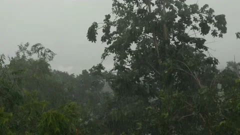 Heavy rain and strong winds Stock Footage 235788727