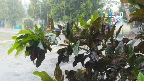 Heavy rain and strong winds Stock Footage 275591076