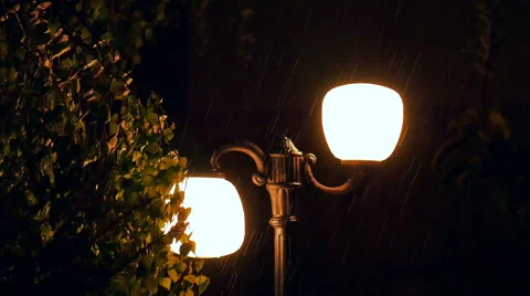Heavy Rain and Wind at Night Stock Footage 59655949
