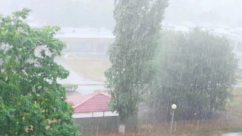 Heavy rain and wind outside the window, raindrops cover trees and buildings. Stock Footage 160339726
