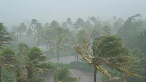 Heavy Rain and Winds Hit Hawaii Stock Footage