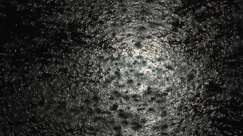 Heavy rain on a background Stock Footage 68289591