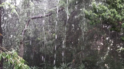 Heavy rain at the backyard garden in fall. Stock Footage 95172207