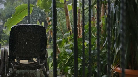 Heavy rain on the backyard with palm trees and sunbed Stock Footage 76604259
