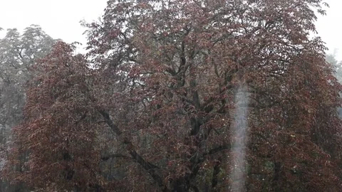 Heavy rain, bad weather Stock Footage 280841216