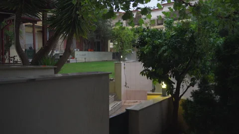 Heavy rain beats on the grass and leaves in the yard Stock Footage 323101744