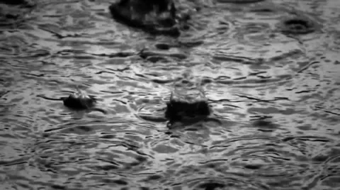 Heavy rain in black Stock Footage 37599673