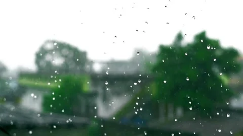 Heavy rain with blurred background Stock Footage 135231187
