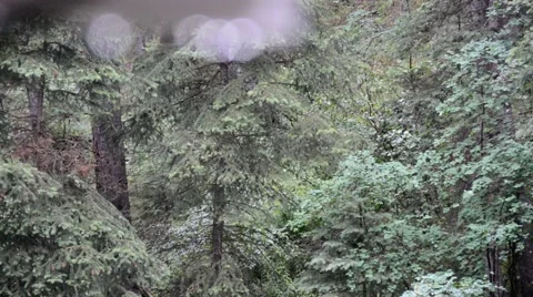 Heavy rain with blurred drops in the foreground. Stock-Footage 52706526