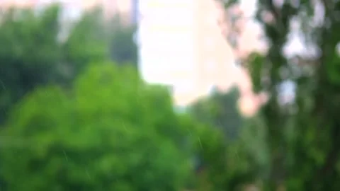 Heavy rain close-up against a background of blurred trees. Video stock 256595238