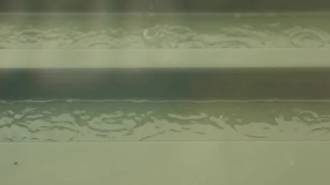 Heavy Rain close up Video stock 83652522