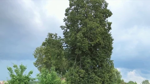 Heavy rain clouds Stock Footage 92732600