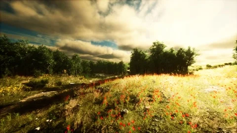 Heavy rain clouds over the field at the sunset Stock Footage 147636849