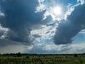 Heavy rain clouds in the sky at sunny day over peat bog moor nature landscape Photo