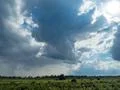 Heavy rain clouds in the sky at sunny day over peat bog moor nature landscape Photo