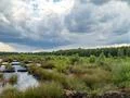 Heavy rain clouds in the sky at sunny day over peat bog moor nature landscape Photo