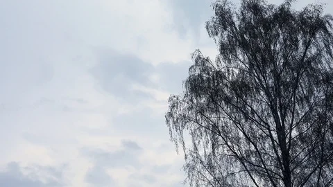 Heavy rain clouds before a storm Video stock 89504840