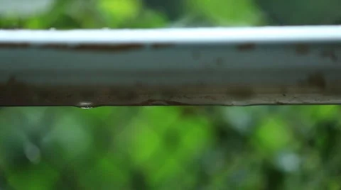Heavy rain in a cold summer evening, close up of drops Stock Footage 51654488