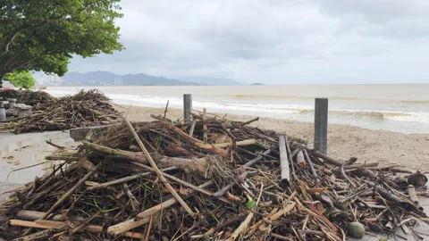 Heavy rain consequence. Beach covered wooden debris, trash washed ashore. Storm Stock Footage 322111443