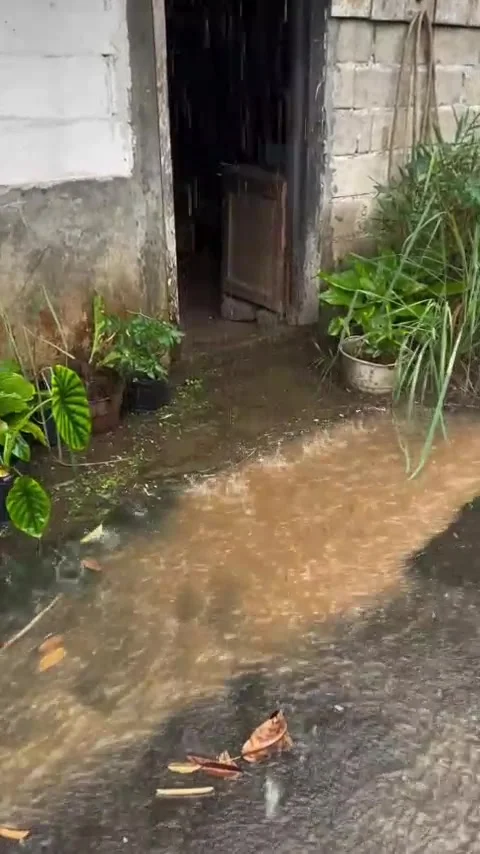 Heavy rain in the countryside Stock Footage 307452598