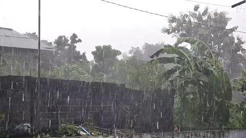 Heavy rain in the countryside Stock Footage 308463108