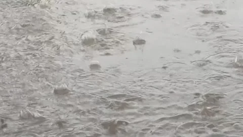 Heavy rain creates ripples on water surface in urban area during afternoon Stock Footage 310596654