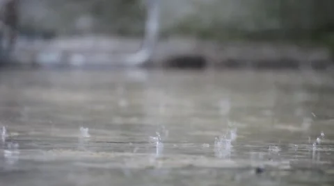 Heavy rain detail Stock Footage 42349142