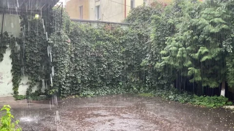 Heavy rain, downpour Stock Footage 162168828