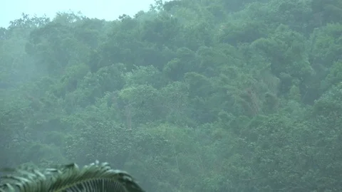 Heavy Rain Drenches Jungle Hillside As Tropical Storm Hits Island Stock Footage 116535354